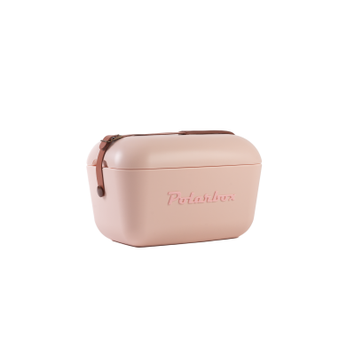 Ψυγείο Polarbox 12lt
