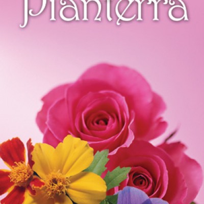 Φυτόχωμα PIANTERRA Εξαιρετικής Ποιότητας 12 lt