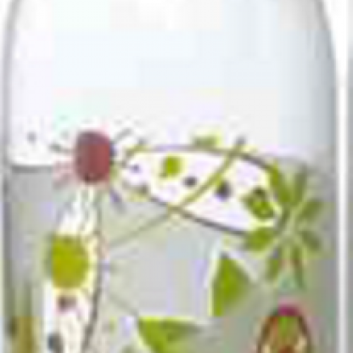 Μπουκάλα Sirio Ντεκόρ 1000ml