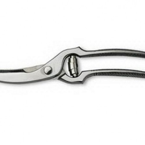 Ψαλίδι Κοτόπουλου Inox 24cm